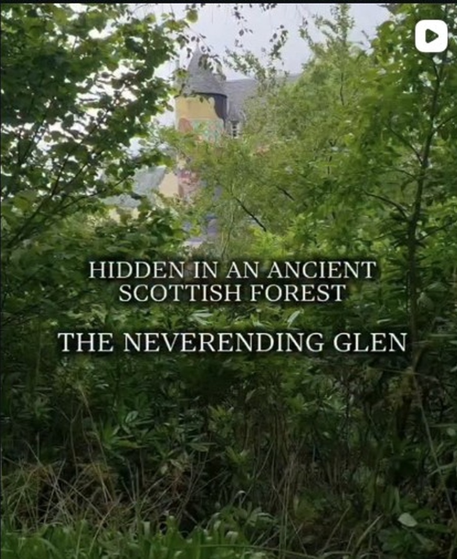 Scotsman Travels exploring a dramatic Scottish woodland